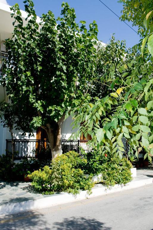 Oasis Studios Palaiochora Exterior foto